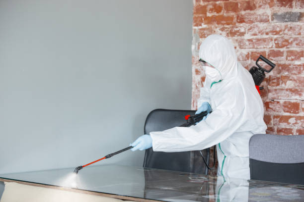 Mold Removal for HVAC Installations in Linden, NJ