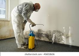 Best Emergency Mold Remediation  in Linden, NJ